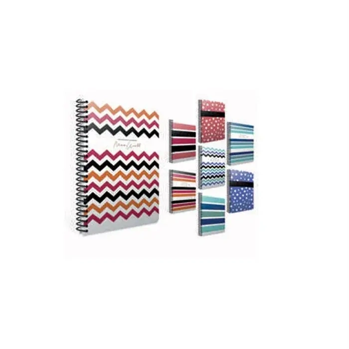 Gıpta Master Art Düz 100 Yp 19x26 Karton Kapak