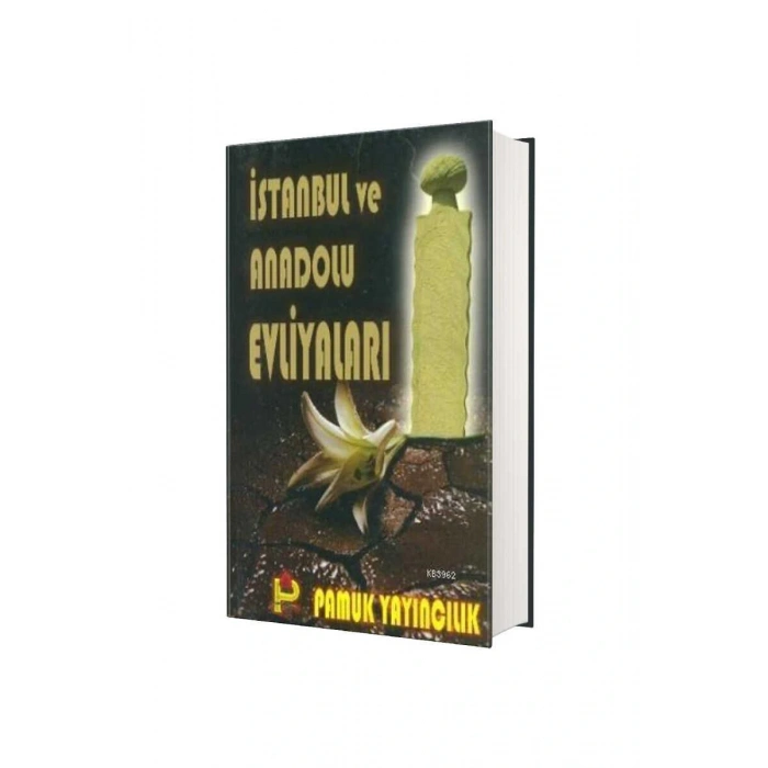 İstanbul ve Anadolu Evliyaları