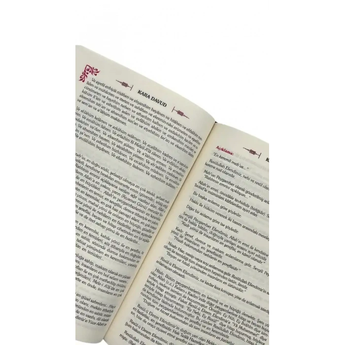 Kara Davud Delaili Hayrat Şerhi - İthal Kağıt