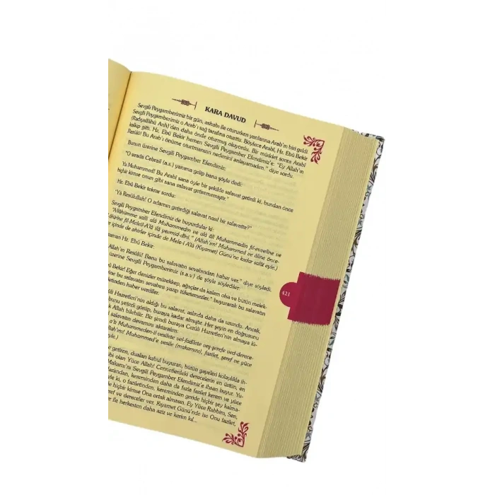 Kara Davud Delaili Hayrat Şerhi - Şamua