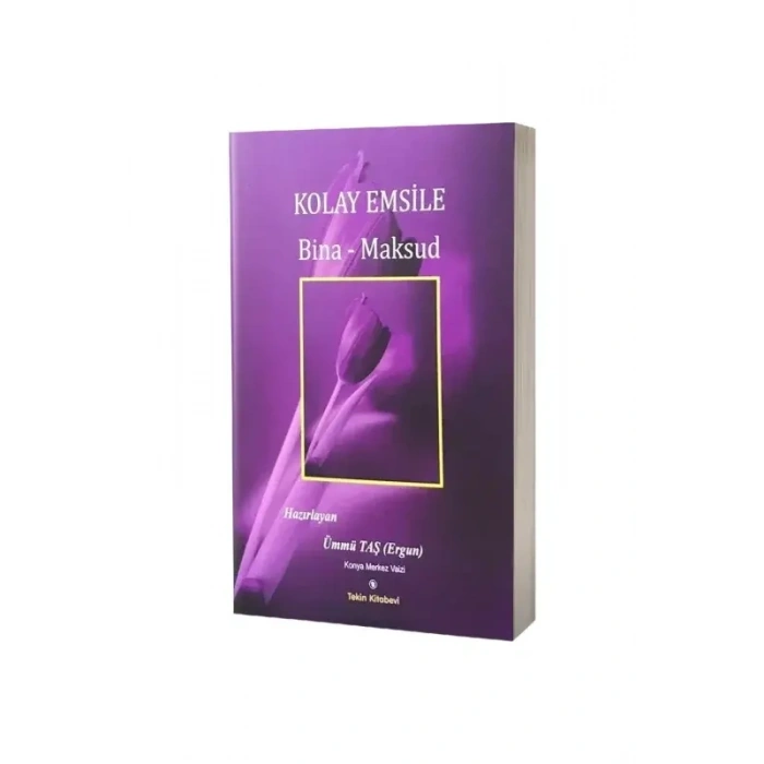 Kolay Emsile Bina Maksud