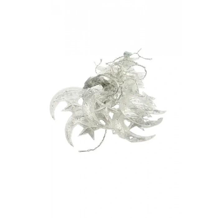 Korunmuş Sır Levhası Ahşap Tablo 48*25 cm