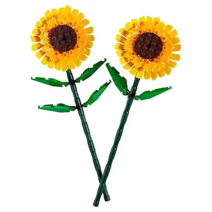 Lego Ay Çiçeği 40524