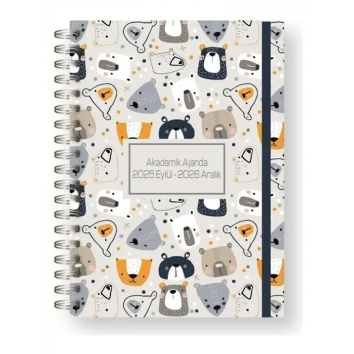 Liz Ajanda 17X24 Akademik Spr.