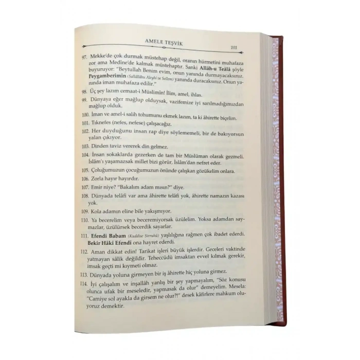 Mahmud Efendi Hazretlerinden Duyulan Hikmetli Sözler - Deri Cilt