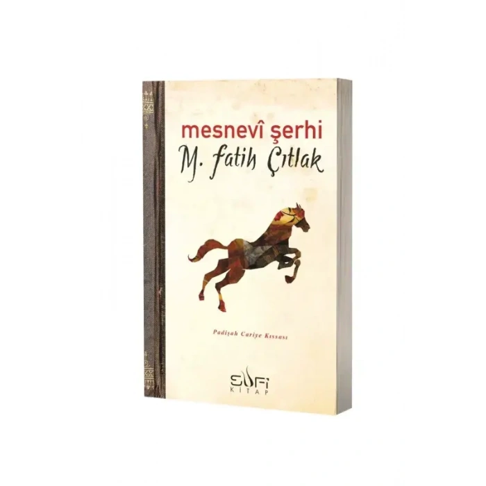 Mesnevi Şerhi