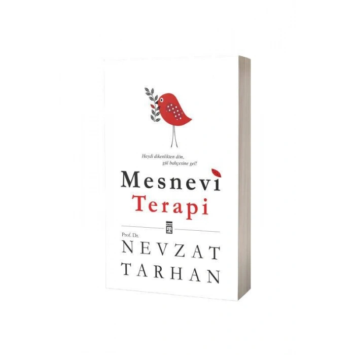 Mesnevi Terapi