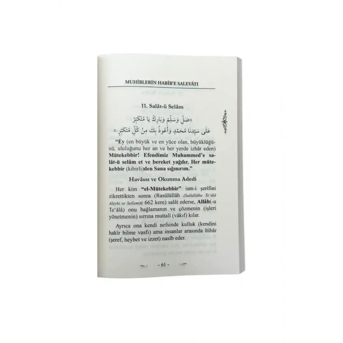 Muhiblerin Habibe Salevatı