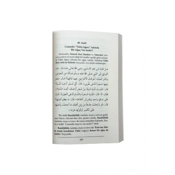 Nasıl Bir Yer Cennet