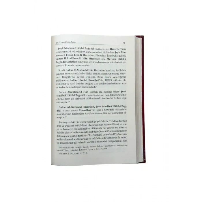 Osmanlıda Fidandan Çınara Manevi Kökler