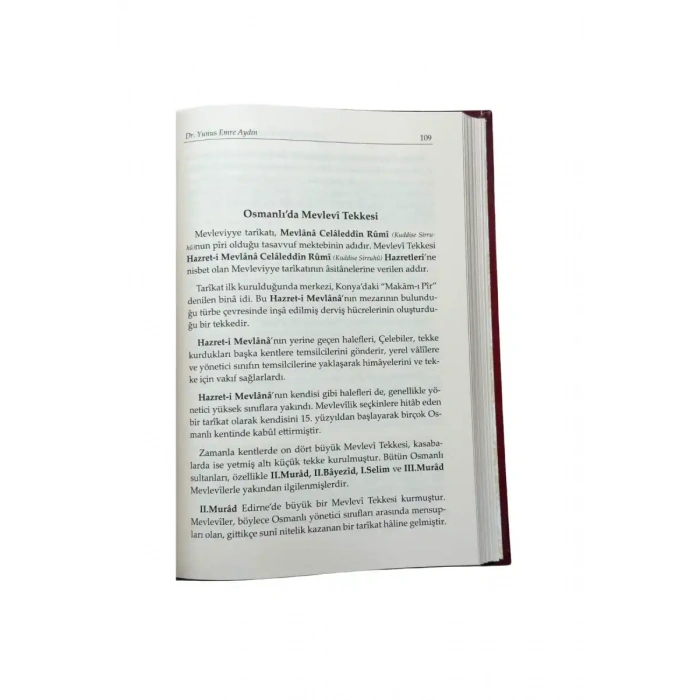 Osmanlıda Fidandan Çınara Manevi Kökler