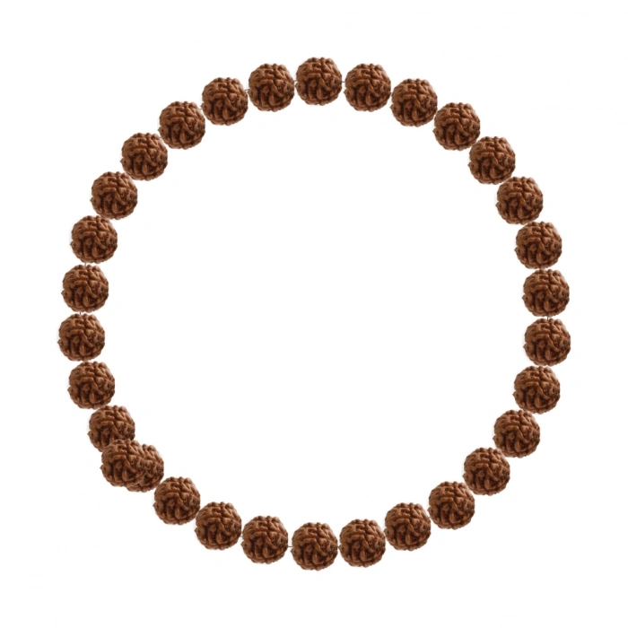 Özel Tasarım :1743581486