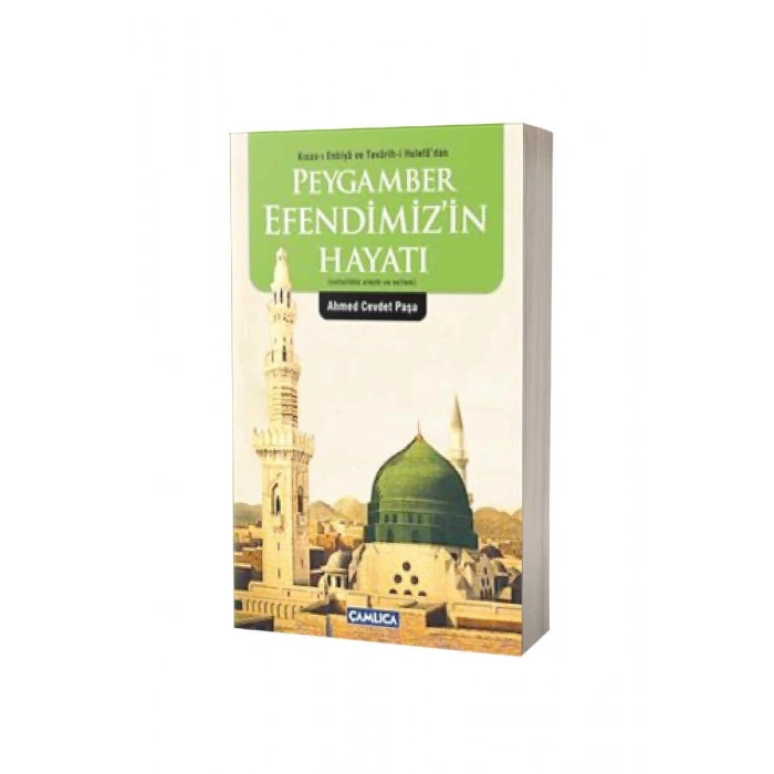 Peygamber Efendimizin Hayatı - Karton Kapak