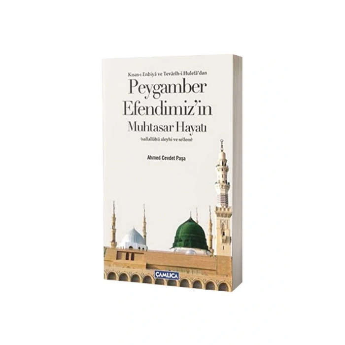 Peygamber Efendimizin Muhtasar Hayatı