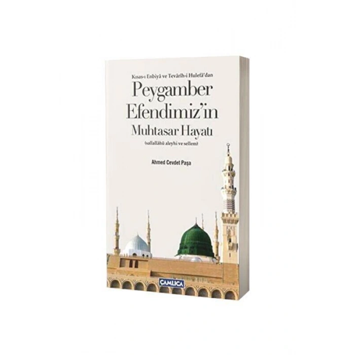 Peygamber Efendimizin Muhtasar Hayatı