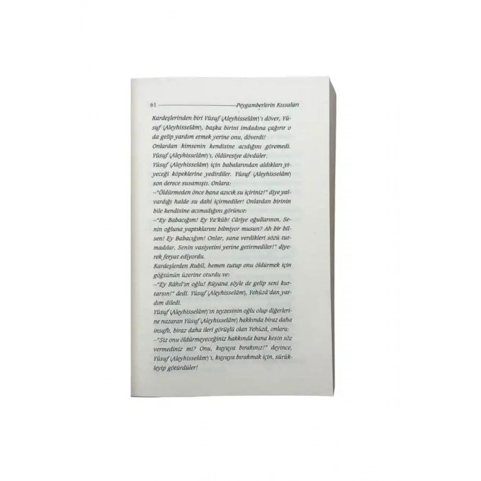 Peygamberlerin Hikayeleri