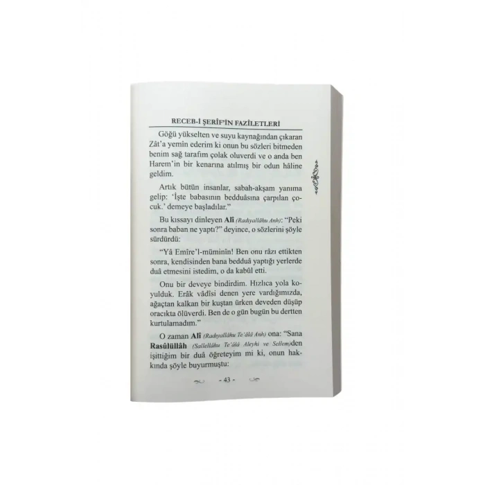 Recebi Şerif Risalesi