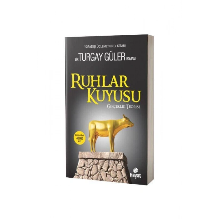 Ruhlar Kuyusu Gerçeklik Teosrisi