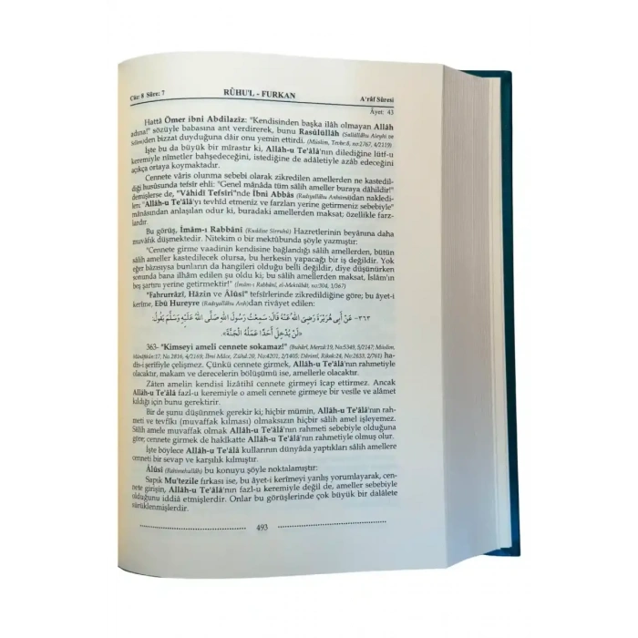 Ruhul Furkan Tefsiri 13. Cilt