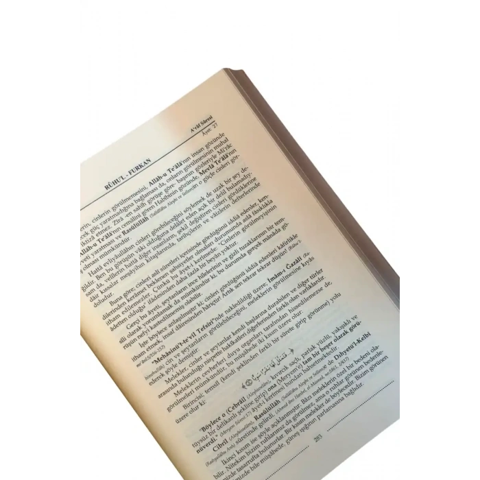 Ruhul Furkan Tefsiri 13. Cilt - Deri