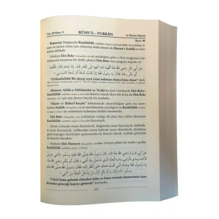 Ruhul Furkan Tefsiri 17. Cilt