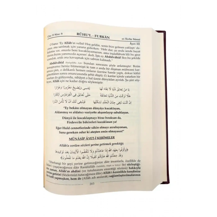 Ruhul Furkan Tefsiri 18. Cilt - Deri