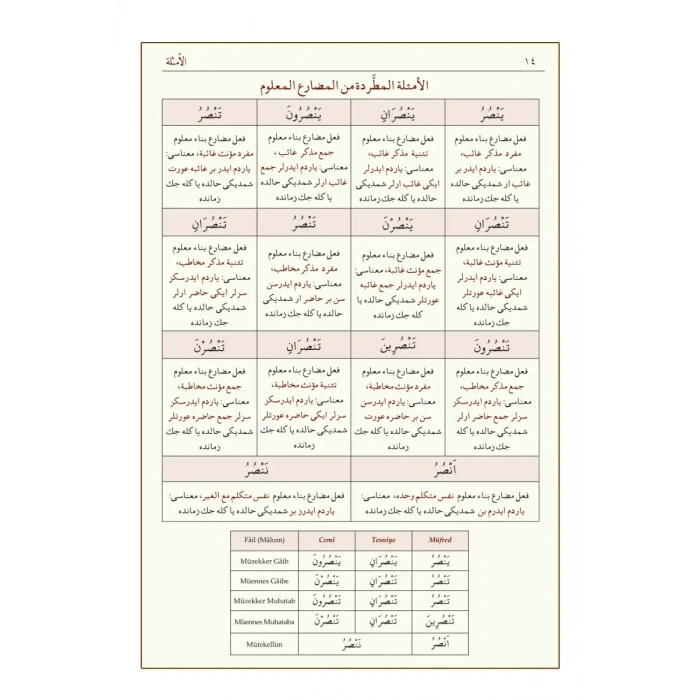 Sarf Arapça Yeni Dizgi