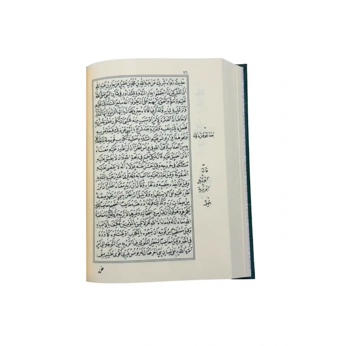 Şifai Şerif Arapça