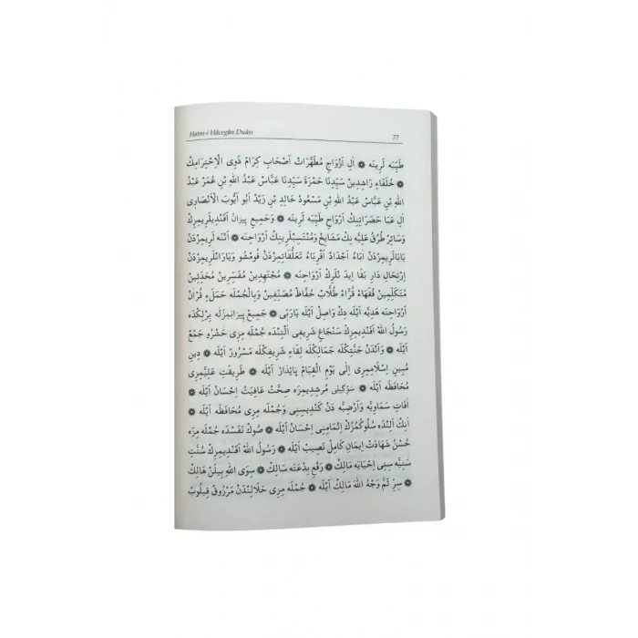 Talebenin Hazinesi Roman Boy - Karton Kapak