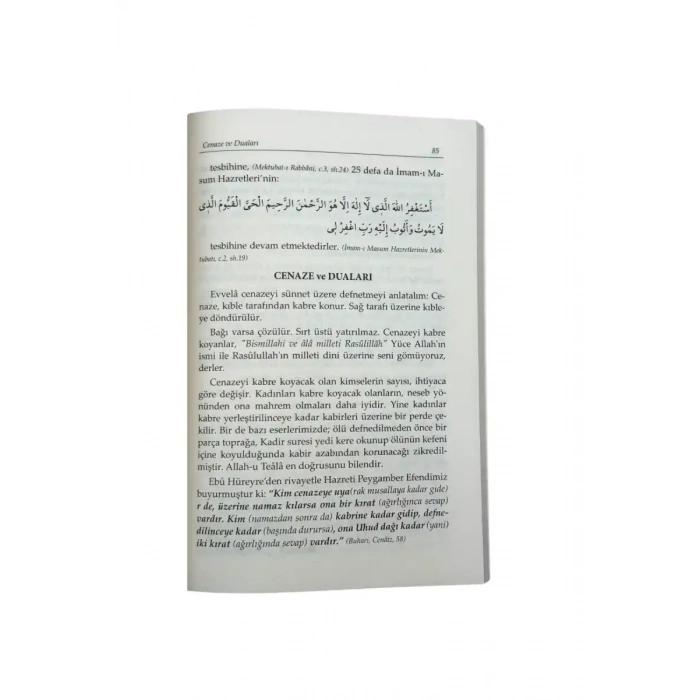 Talebenin Hazinesi Roman Boy - Karton Kapak