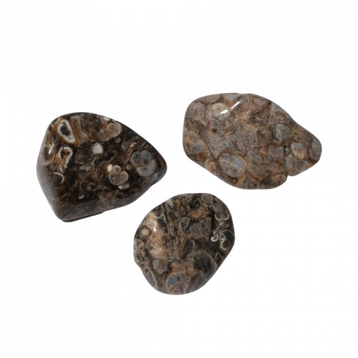 Turritella Doğal Taş Tımbıl El Taşı