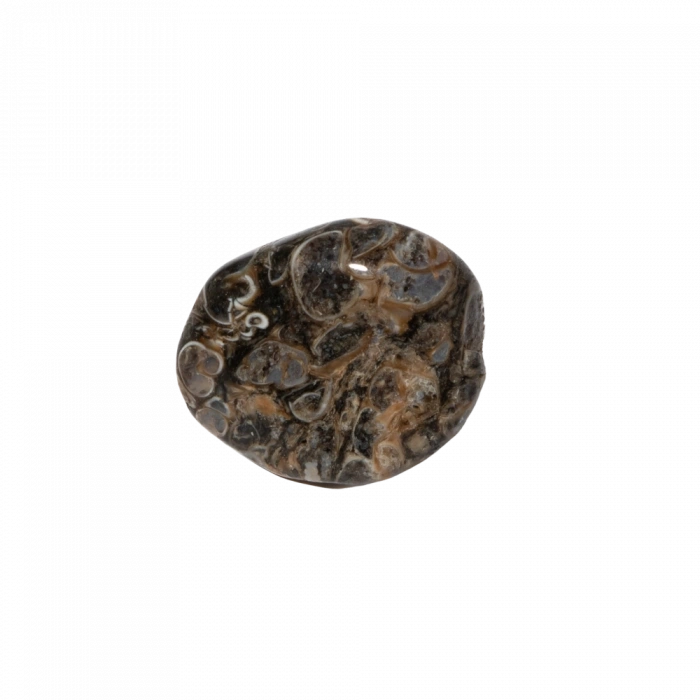 Turritella Doğal Taş Tımbıl El Taşı