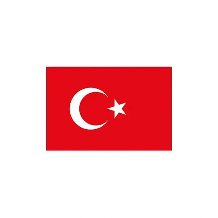 Vatan 30 x 45 cm Türk Bayrağı