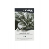 Lyra Rembrandt Graphıte Specıal Set