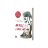 Arayış Soruları