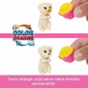 Barbie Barbie Ve Köpekçikleri Pijama Partisi Oyun Seti