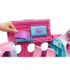 Barbie Barbienin Pembe Uçağı
