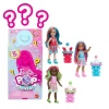 Barbie Chelsea Pop Reveal Smoothie Serisi Sürpriz Paket