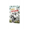 Dağa Tırmanan Kedi