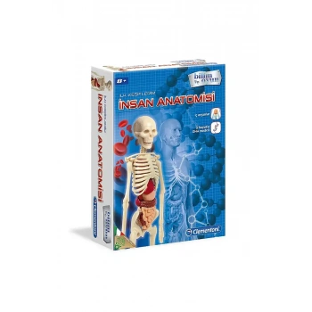 Clementoni İlk Keşiflerim İnsan Anatomisi