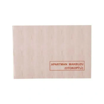 Dilman Apartman Makbuzu 50 Yaprak 2 Nüshalı