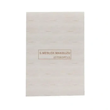 Dilman Okul Müdürü Denetim Defteri 96 Yaprak