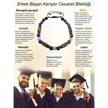 Erkek Başarı Kariyer Cesaret Bilekliği Shungite (Şungit) - Sodalit - Hematit - Lapis - Dumortierit - Kaplan Gözü - Sitrin
