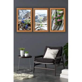 Kar Çiçek Üçlü Mdf Tablo