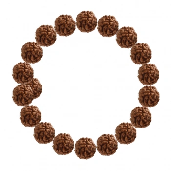 Özel Tasarım :1737329708