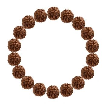 Özel Tasarım :1737460576