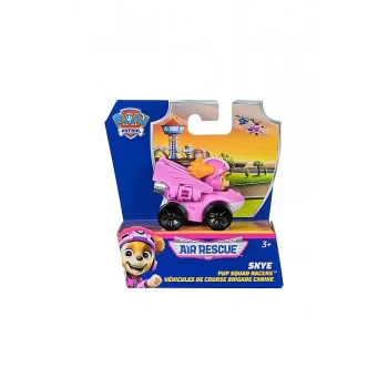 Paw Patrol Film Aracı