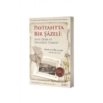 Payitahtta Bir Şazeli