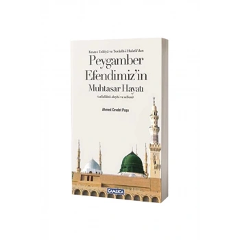Peygamber Efendimizin Muhtasar Hayatı