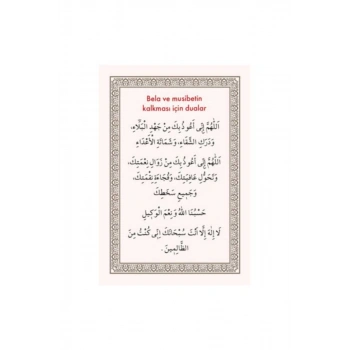 Pvc Bela Ve Musebetin Kalkması 6.2x9.2